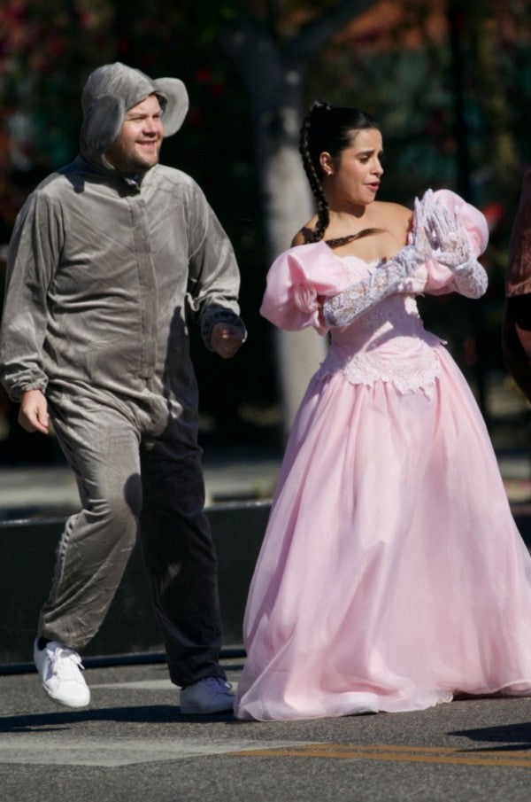 Camila Cabello Pink Dress Cinderella Dress Crosswalk Concert with Glov Hoprom Camila Cabello Pink Dress Cinderella Dress Crosswalk Concert with Glov Hoprom