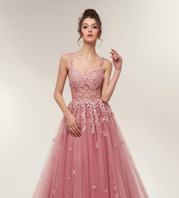 Blush A line Prom Dresses Backless Long Train Lace Appliques Evening D –  Hoprom
