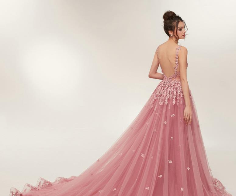 Blush A line Prom Dresses Backless Long Train Lace Appliques Evening D –  Hoprom