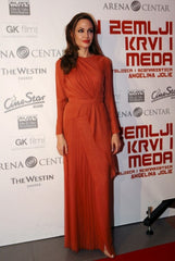 angelina jolie long sleeve dress red dress tonight Red Angelina Jolie Long Sleeve Dress Round Neck Prom Celebrity Evening Hoprom