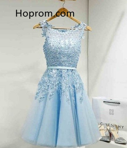 Appliques Sky Blue Elegant Scoop Neck Homecoming Dress