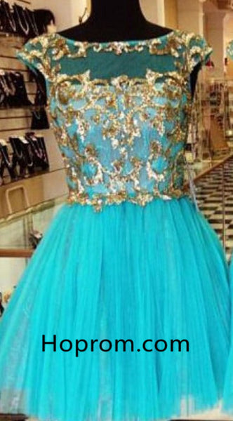 Blue Tulle Round Neck Homecoming Dresses wih Gold Appliques